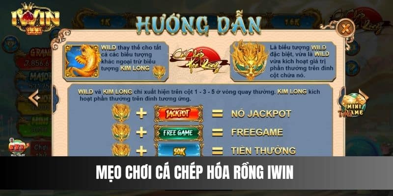 Mẹo chơi Cá Chép Hóa Rồng IWIN