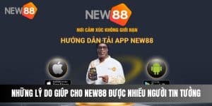 Những Lý Do Giúp Cho NEW88 Được Nhiều Người Tin Tưởng