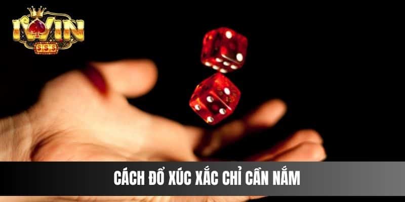 Cách đổ xúc xắc chỉ cần nắm